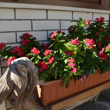 Apartma Zala Most na Soči Extérieur photo