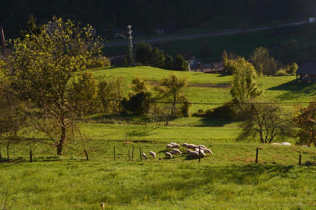 Apartma Zala Most na Soči Extérieur photo